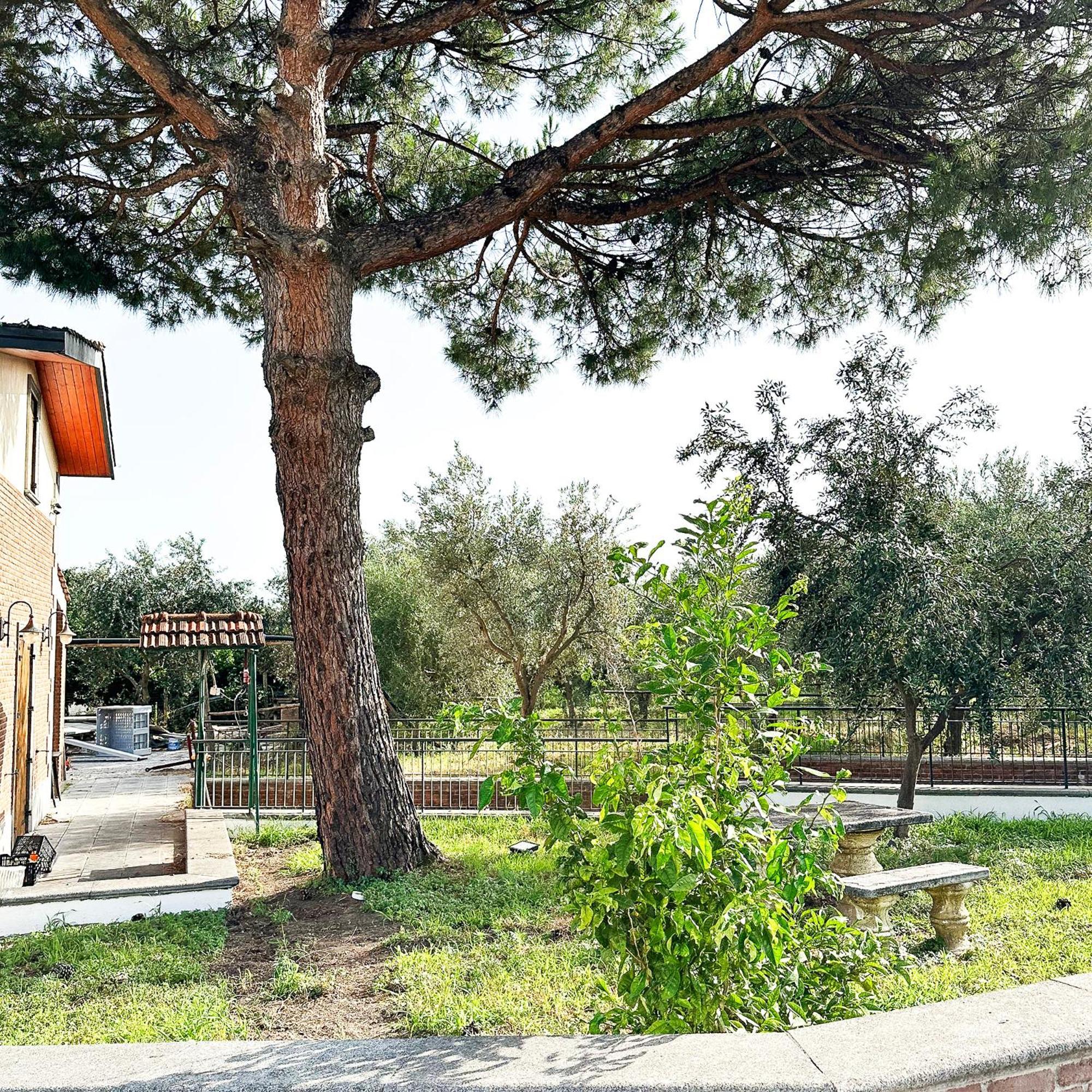 Tenuta Nunziata - Food, Event, Biofarm Torre Annunziata Exterior foto